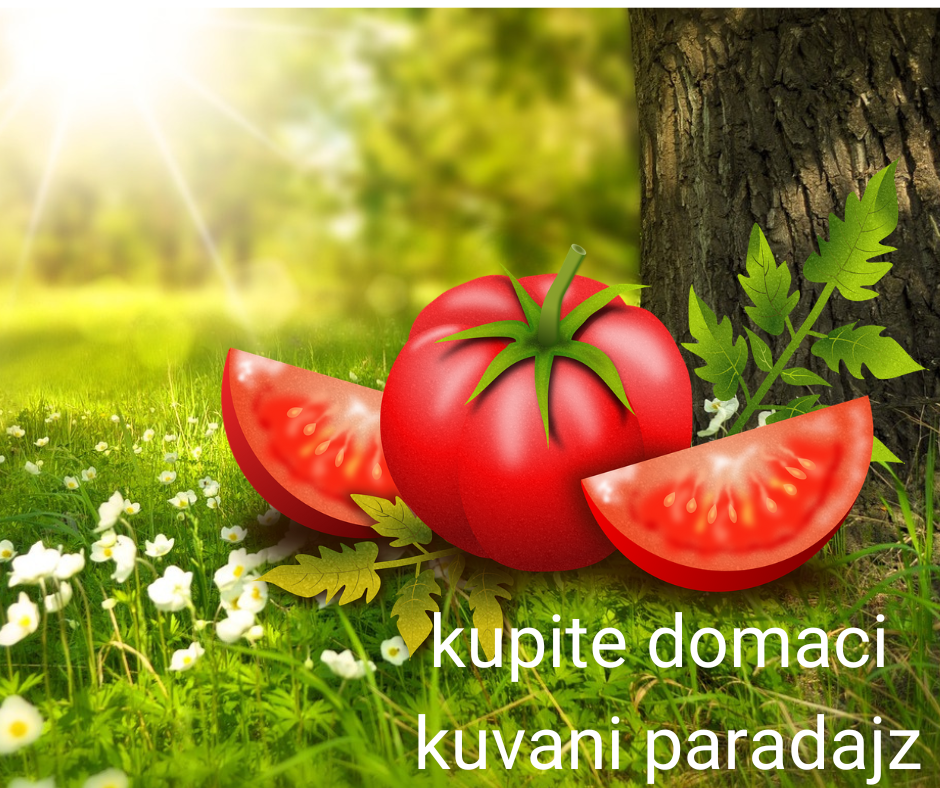 paradajz